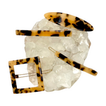Tortoise Hair Pin Set